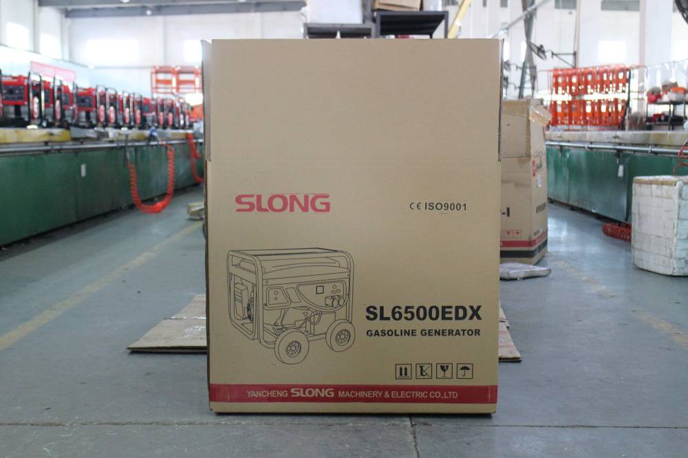 Slong generator (3)